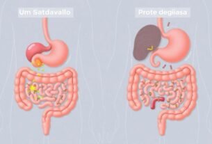 disbiose-intestinal--sinais-de-que-sua-saude-esta-em-risco